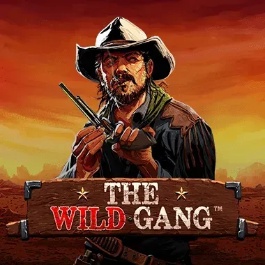 The Wild Gang - Neospin